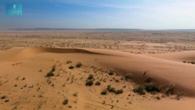 تنزه بلا قيود في الطوقي: محمية الملك عبدالعزيز تفتح أبوابها للجميع.
