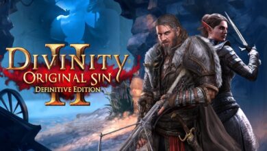Divinity 2: أكثر من مليون لاعب يغزون عالم الحاسوب ويكسرون الأرقام القياسية.