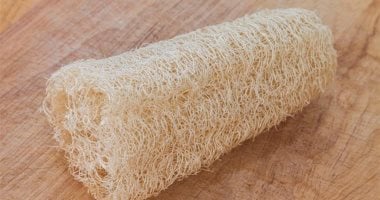 إليك العنوان المقترح: أسفنجة الاستحمام.. طبيبة جلدية تكشف: بؤرة جراثيم تهدد بشرتك