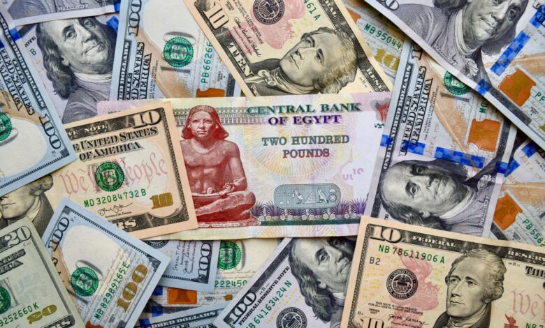الدولار يشتعل مجددًا: تجاوز الـ 50 جنيهًا في السوق السوداء ويثير مخاوف من تعويم جديد