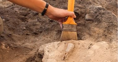 الطاعون يهدد مجددًا: اكتشاف أقدم سلالة للمرض في بقايا حيوانية بروسيا