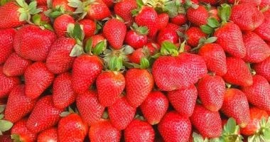 الفراولة سلاحك الشتوي: هكذا تحمي قلبك ومناعتك وتعزز هضمك في الشتاء