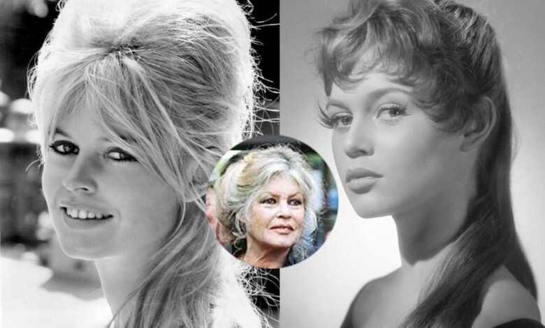 By MGM - ebay, Public Domain, https://commons.wikimedia.org/w/index.php?curid=28066129