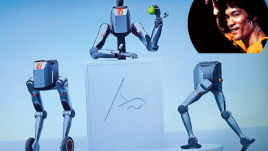 روبوت و بروس لي