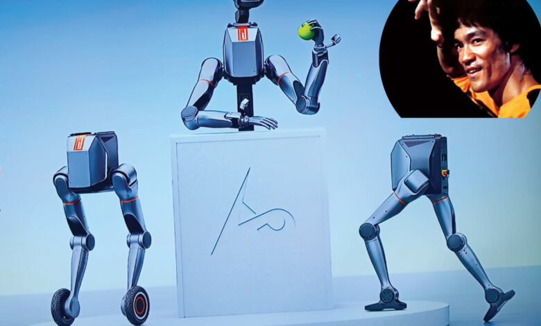 روبوت و بروس لي