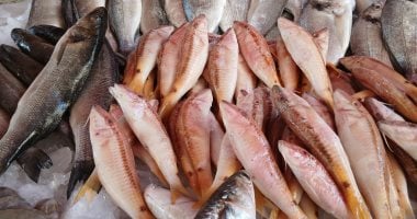 [صحة القلب] 5 أنواع من الأسماك تحمي قلبك.. تعرف عليها وابدأ بتناولها