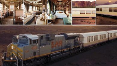 ليلة في قطار حلم الصحراء بـ30 ألف ريال: ما الذي يشمله سعر التذكرة الفلكي؟