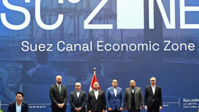 تأمل مصر في وصول حصة الطاقة المتجددة من مزيج توليد الكهرباء لديها إلى 42 بالمئة بحلول عام 2030