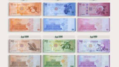 ضم تصميم العملة السورية الجديدة أنواعا زراعية عدة سواء ما يتعلق بالنباتات أو الكائنات الحية المشهورة بالبيئة السورية - SANA