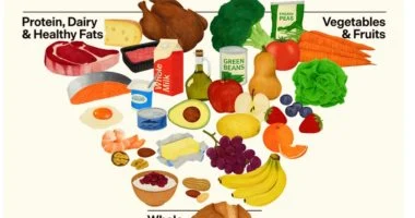 الهرم الغذائي الجديد: أمريكا تُعيد تعريف "الأكل الصحي" بعد عقود من الجدل.