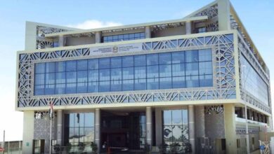 الحد الأدنى الجديد لرواتب المواطنين في الإمارات يبدأ اعتبارا من الأول من يناير 2026 - wam.ae